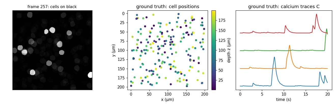 a movie frame of sharp cells, a depth-colored position scatter, and calcium traces