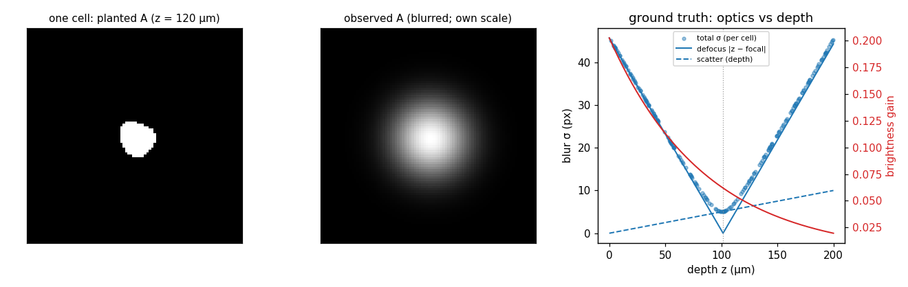 one cell's planted vs observed footprint, and a blur decomposition vs depth