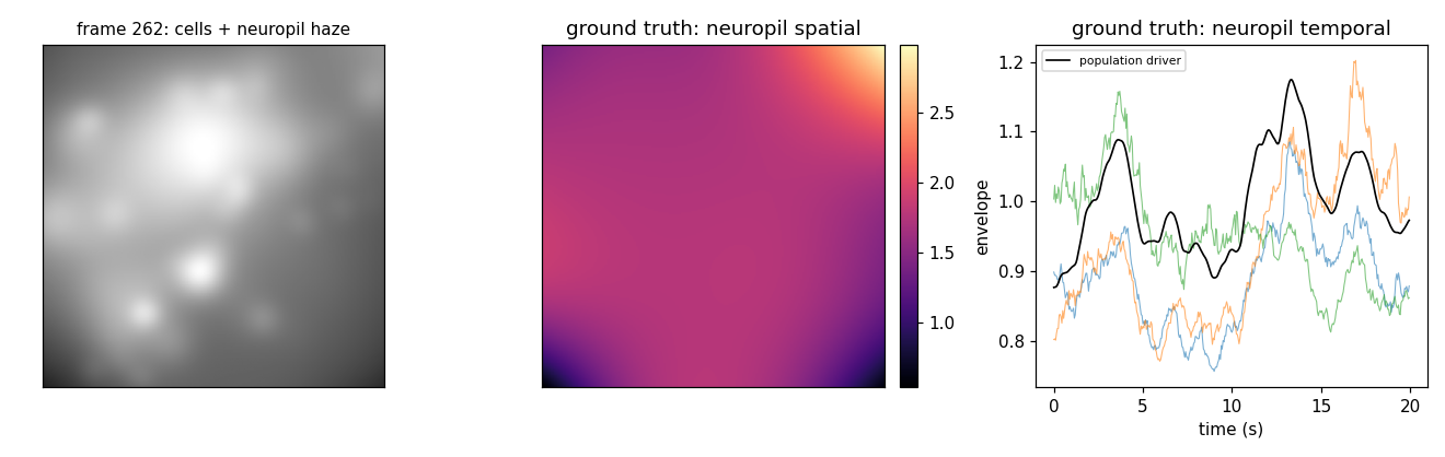 a frame with neuropil haze, the neuropil spatial field, and its temporal envelopes